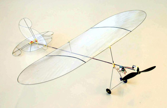 
A model aircraft, weighing 6 grams.